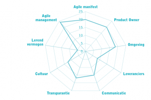 VKA agile assessment